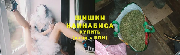 сатива Армянск