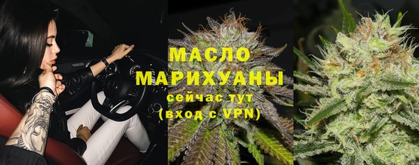 сатива Армянск