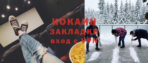 гашик Арсеньев
