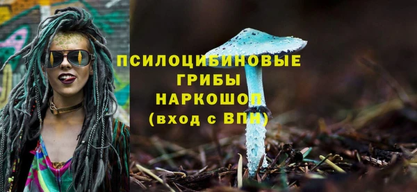 гашик Арсеньев