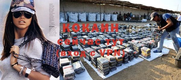 прущие крисы Аркадак
