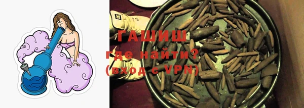 гашик Арсеньев
